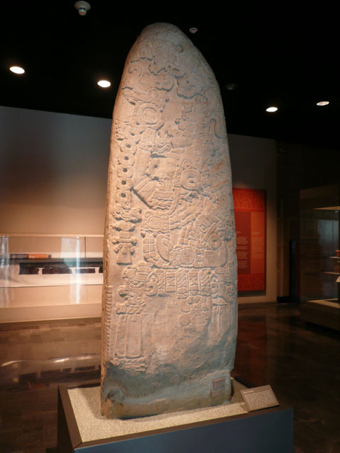 P1020229