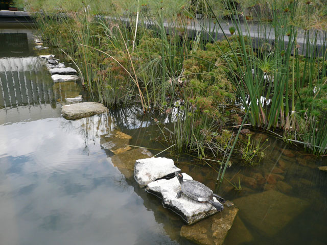 P1020269