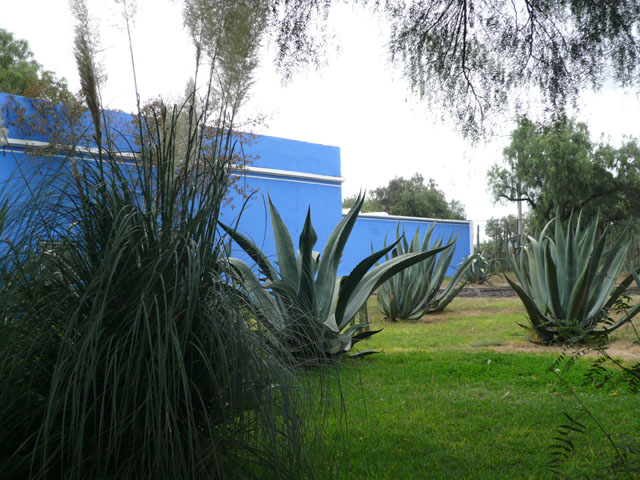 P1020376