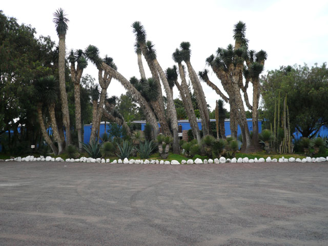 P1020380