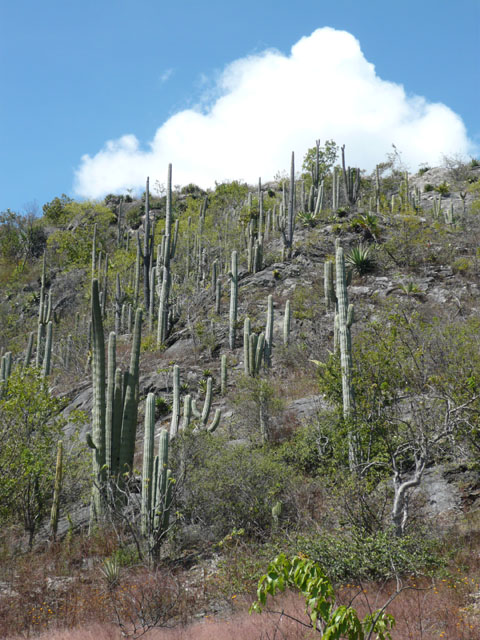 P1020401