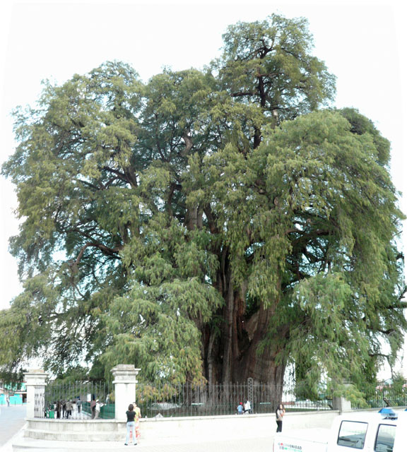 P1020427p