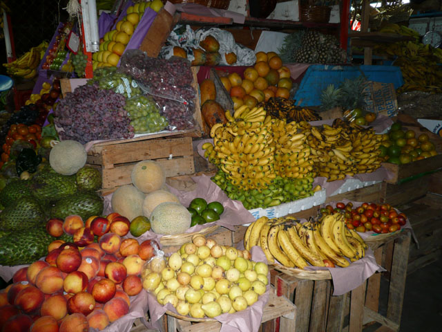 P1020445