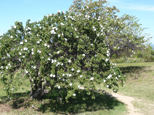 P1020458