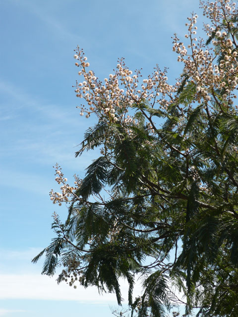 P1020461