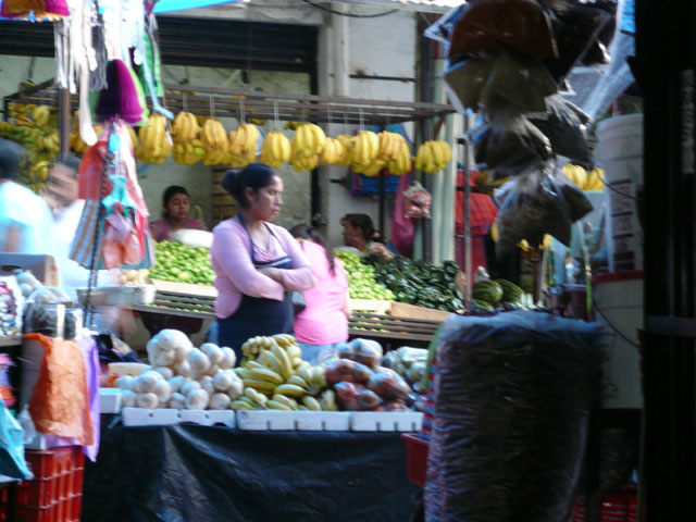 P1020507