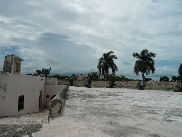 P1010571