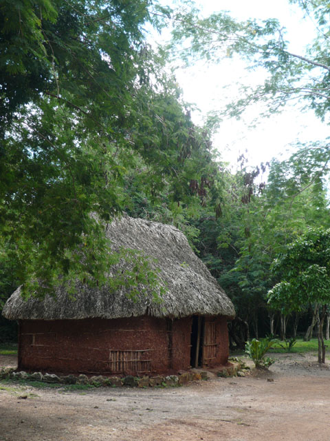 P1010959