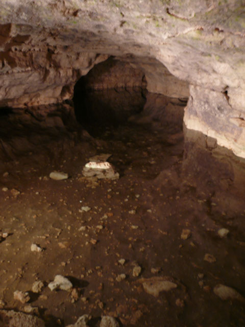 P1020032