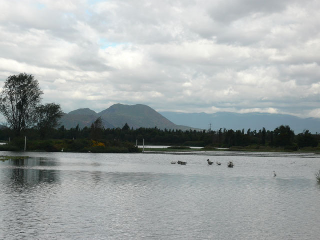 P1020367