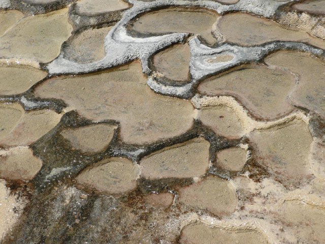 P1020396