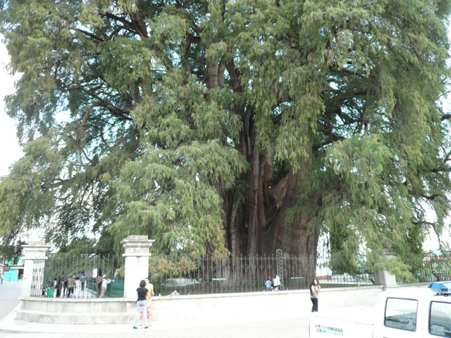 P1020427