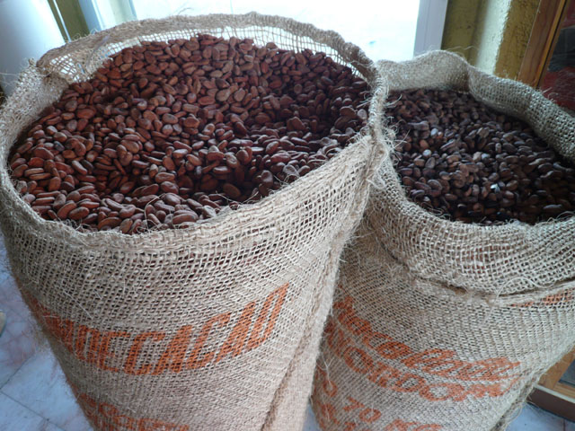 P1020439