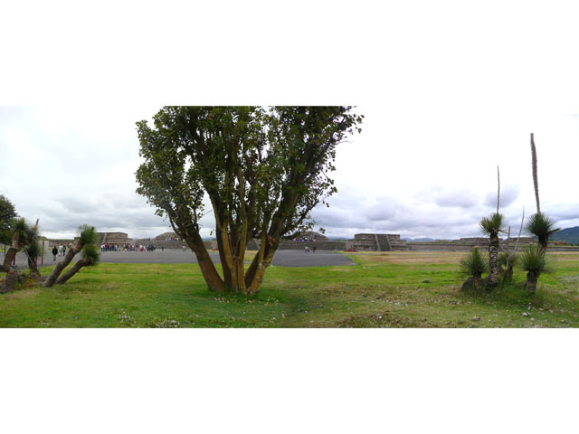 P1040909p