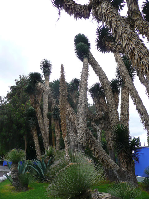 P1040959
