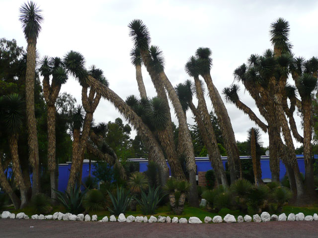 P1040969