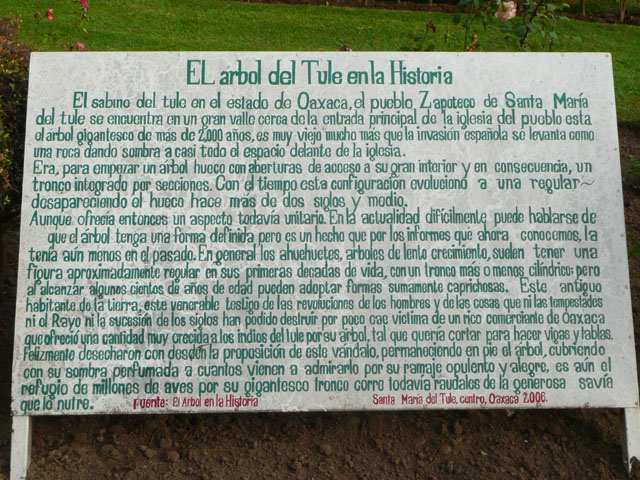 P1050191