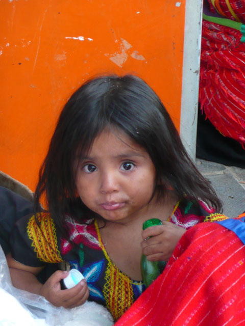 P1050398