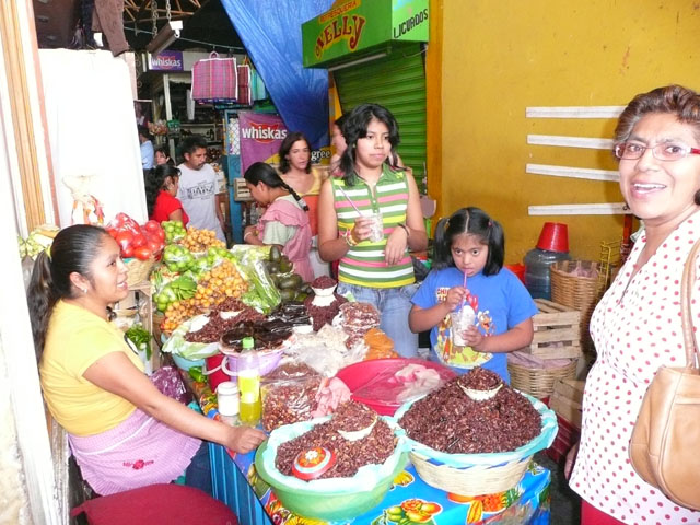 P1050413