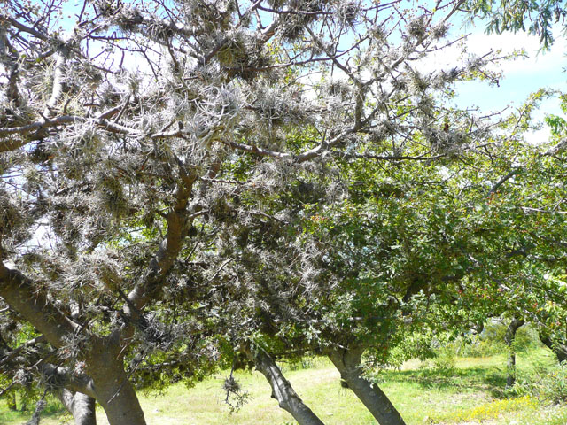 P1050469
