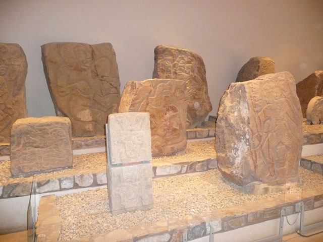 P1050502