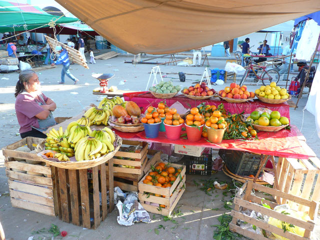 P1050551