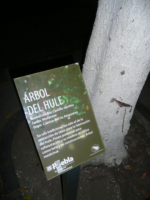 P1050656