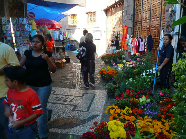 P1050776